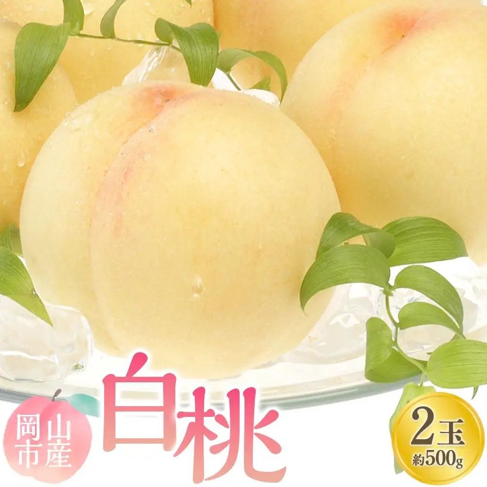 白桃 2玉 合計約500g 2027年 先行予約 岡山市産 フルーツ ギフト 白桃