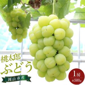 2026年　桃太郎 ぶどう 1房 約500g｜ ぶどう 
