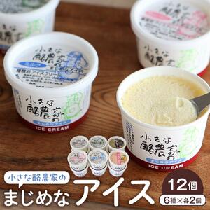 安富牧場　小さな酪農家のまじめなアイス　12個入