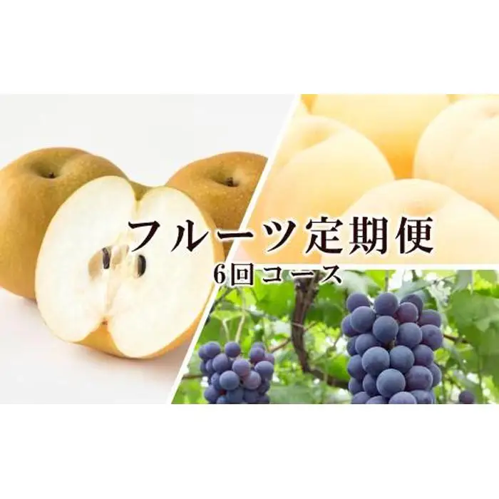 桃 ぶどう 梨 定期便 2027年 晴れの国 岡山 の フルーツ 定期便 6回コース もも 葡萄 なし 岡山県産 国産 セット ギフト
