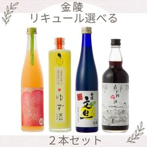金陵　リキュール選べる２本セット【A-40】
