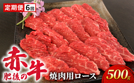 あか牛 肥後の赤牛 焼肉 ロース あか牛【500g】【定期便6回】