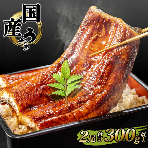 うなぎ蒲焼 2尾 国産 うなぎ 鰻 魚 K2390
