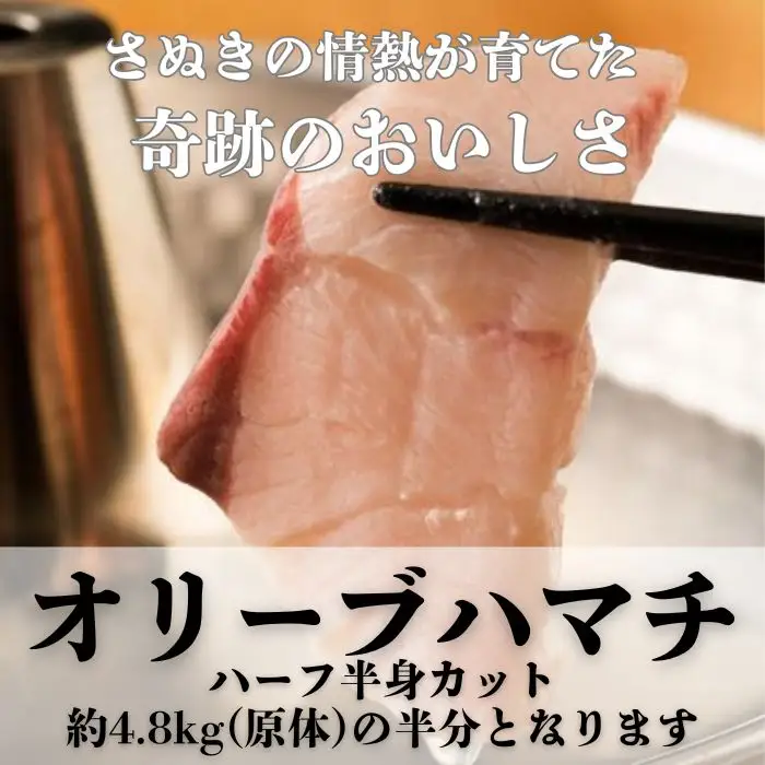 オリーブハマチ ハーフ（半身カット）【予約受付：令和8年10月中旬頃から出荷開始！】【B-811】