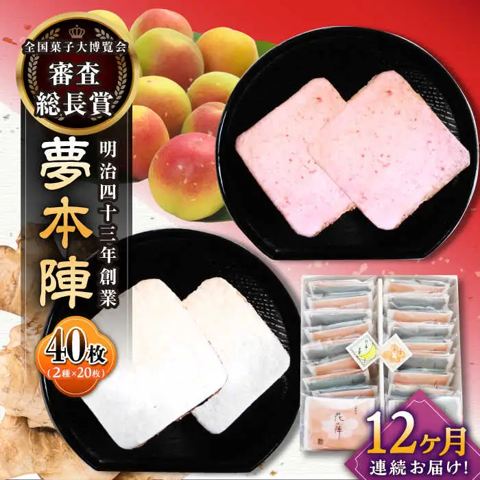 【12回定期便】夢本陣 40枚（2種×20枚） /恵比須堂 [UBQ020] 煎餅 せんべい