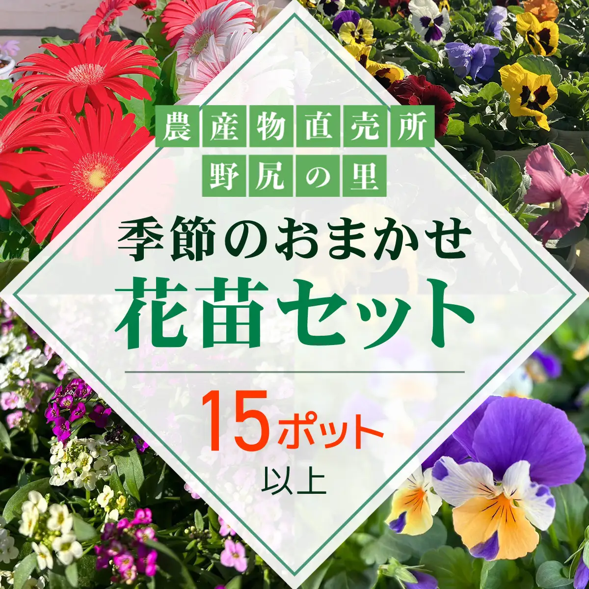 季節のおまかせ花苗セット【15ポット以上】 ANAR011