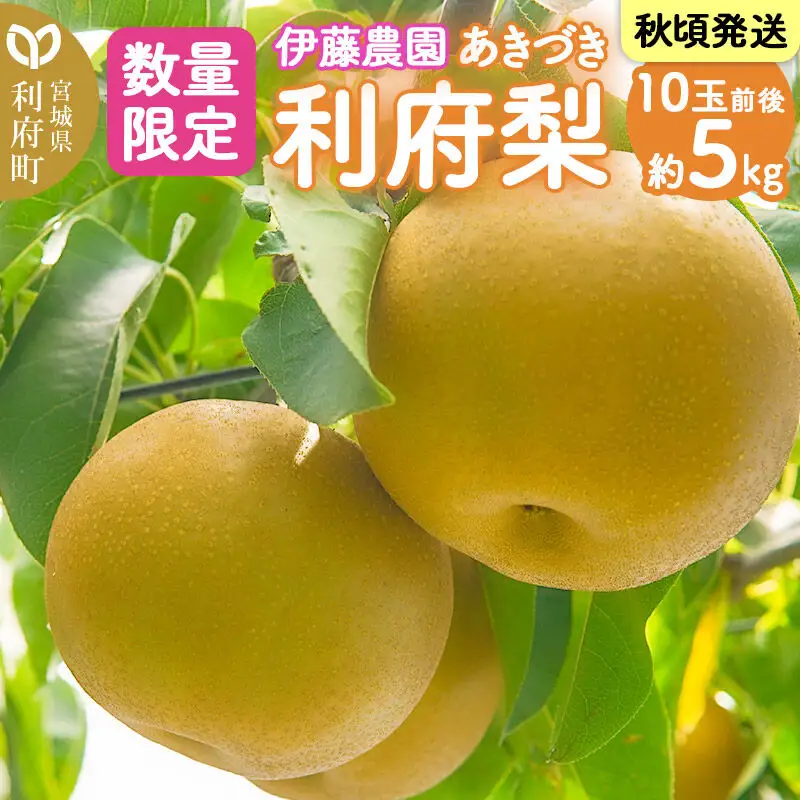 利府梨（あきづき）5kg（10玉前後）