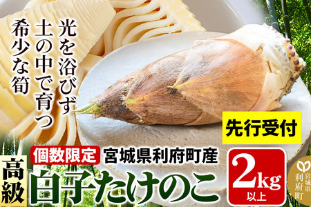 タケノコ 【2027年発送 先行受付】 宮城県 利府町産 採れたて 高級白子たけのこ 皮付き2kg以上（2～6本）筍 野菜 国産 新鮮 旬