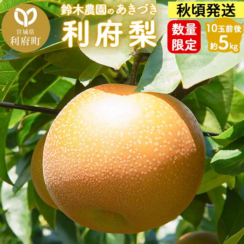 あきづき5kg（10玉前後）利府梨