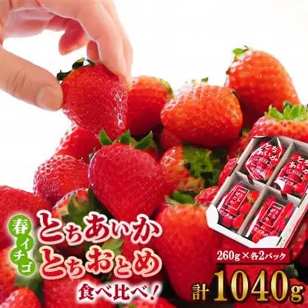 いちご生産量日本一栃木産　春イチゴ『とちおとめ』『とちあいか』 (260g×4パック)食べ比べセット_いちご 苺 とちおとめ とちあいか セット 食べ比べ 人気 おすすめ 送料無料 贈答 ギフト 栃木 佐野 冷蔵 春いちご_【配送不可地域：離島】【1489767】