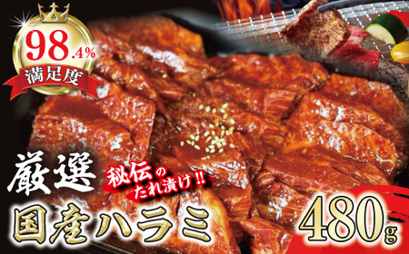 希少 和牛入 国産牛 ハラミ 480g 秘伝の自家製タレ漬け【FO22W】 焼肉