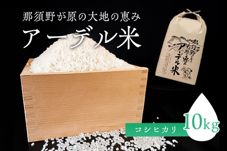 【令和6年産米】那須野が原の大地の恵み アーデル米（コシヒカリ10kg）＜出荷開始：2024年10下旬～＞ 栃木県 那須塩原市 お米 ﾂﾔ ｺｼ 粘り 風味豊か おにぎり 袋 食品 ごはん ｺｼﾋｶﾘ ns061-001