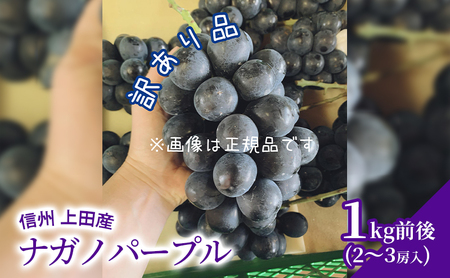 訳あり ナガノパープル 1kg前後 2～3房 ぶどう 葡萄 ブドウ 長野パープル 1kg 果物 くだもの フルーツ デザート 大粒 旬の果物 旬のフルーツ 訳アリ 長野県 長野