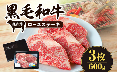 黒毛和牛（経産牛）ロースステーキ3枚 計600g ロース BBQ