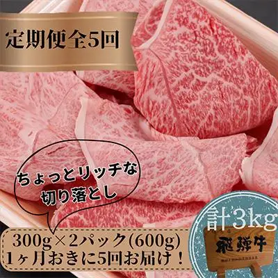 【定期便 隔月発送】全5回 飛騨牛ちょっとリッチな切り落とし（みすじ・ウデすき焼きしゃぶしゃぶ用）300g×2パックセット 切り落とし FC102