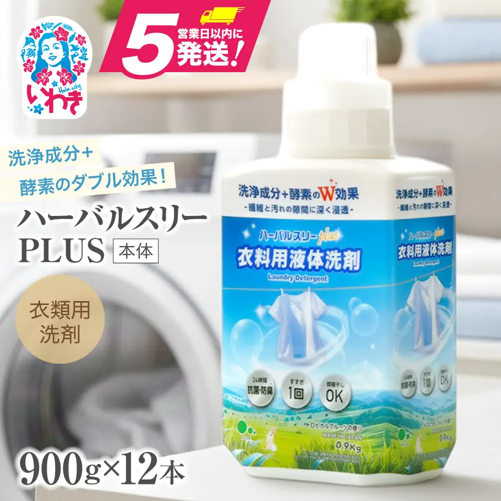 洗濯洗剤 液体洗剤セット 本体×12本 [FZ001]