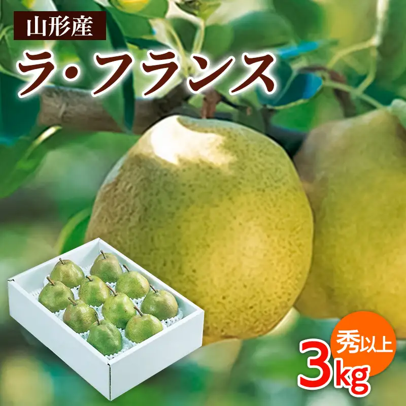 山形市産 ラ・フランス 秀以上 3kg(6～10玉) FZ26-827