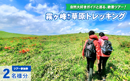 霧ヶ峰(車山)草原トレッキング～自然を感じて、五感を使うのんびり山歩き～ ツアー参加券 2名様分 八ヶ岳登山企画 [88-07]
