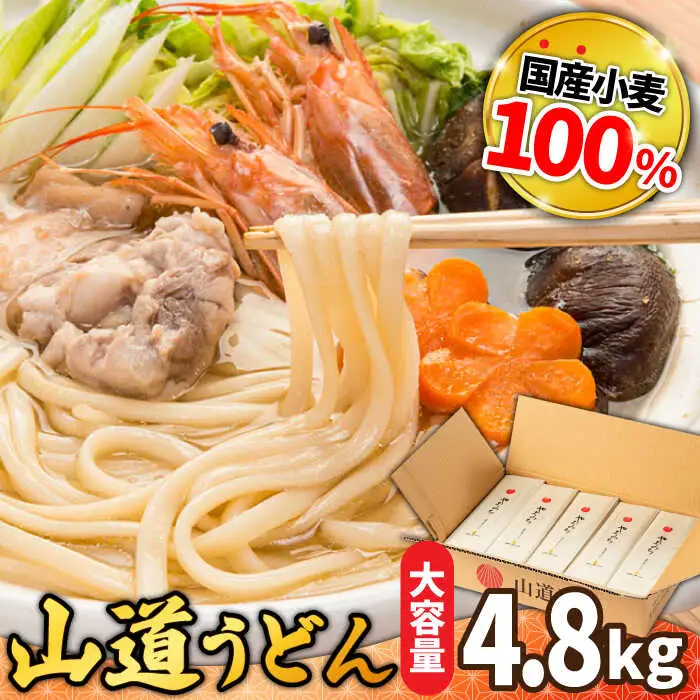 島原 手延べうどん 山道うどん 国産小麦100％ 160g×30袋 4.8kg / 島原手延べ うどん ウドン 饂飩 乾麺 麺 / 南島原市/ そうめんの山道 [SDC011]