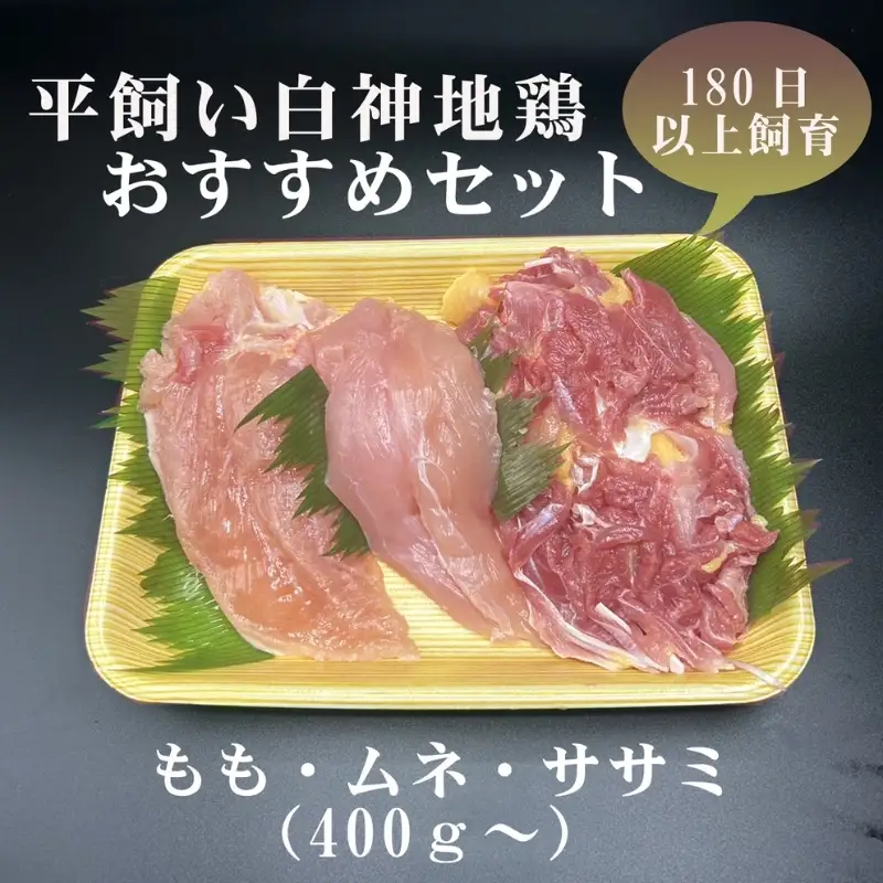 数量限定 比内地鶏 約400g～ 1パック 鶏肉 地鶏 国産鶏肉
