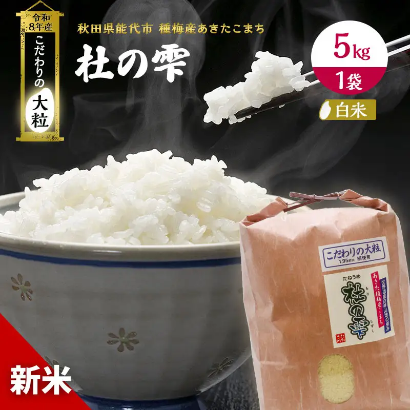 先行予約 新米 あきたこまち 杜の雫 5kg 米 秋田 5キロ