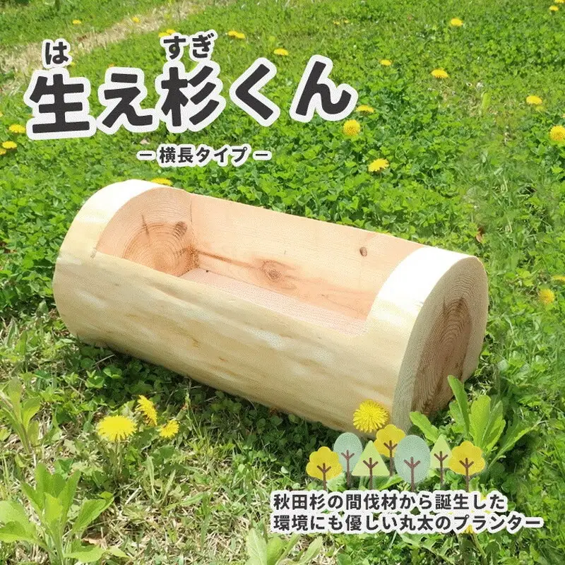 木製プランター 秋田杉 生え杉くん 横長 木製プランター