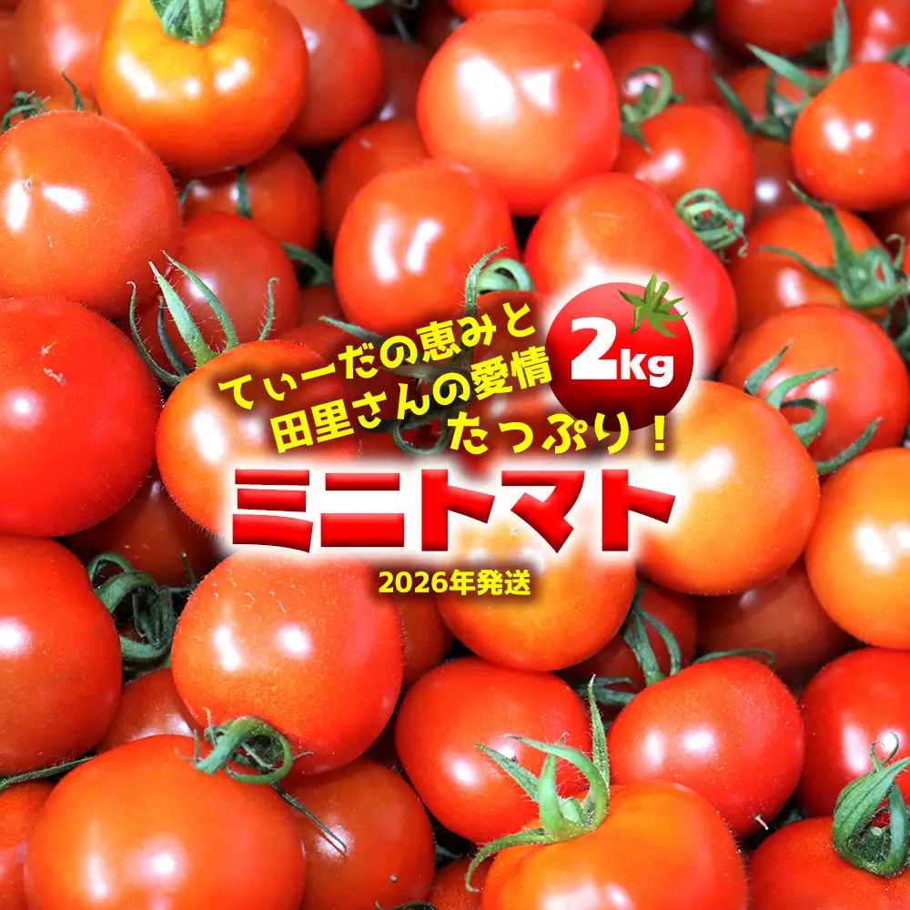 【2026年発送】てぃーだの恵みと田里さんの愛情たっぷり！ミニトマト 赤2kg