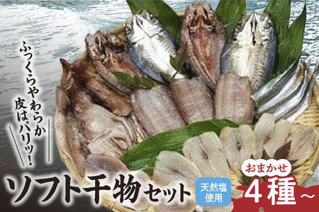新鮮ソフト干物セット おまかせ4種以上