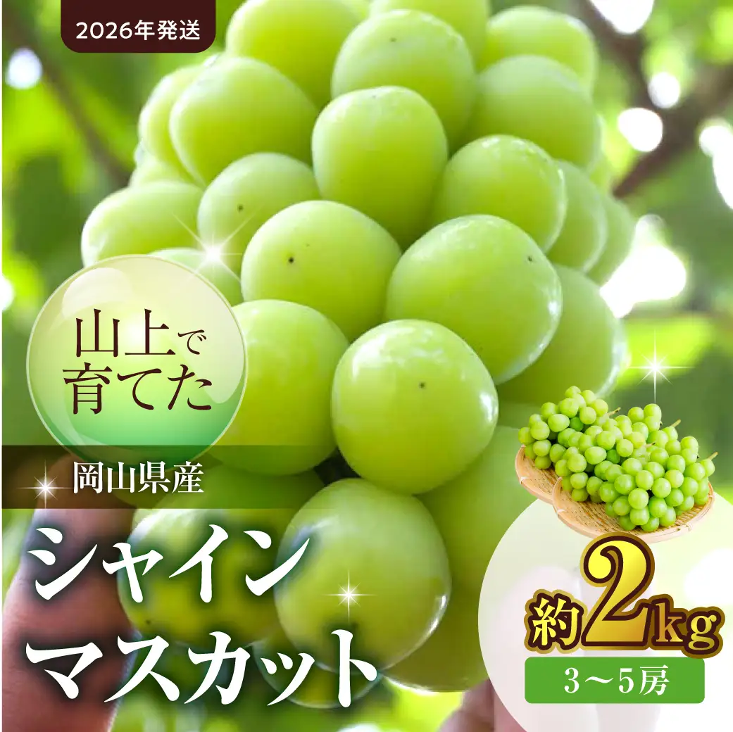 【2026年発送】シャイン マスカット 約2kg（9月下旬～10月下旬頃発送）【シャインマスカット】