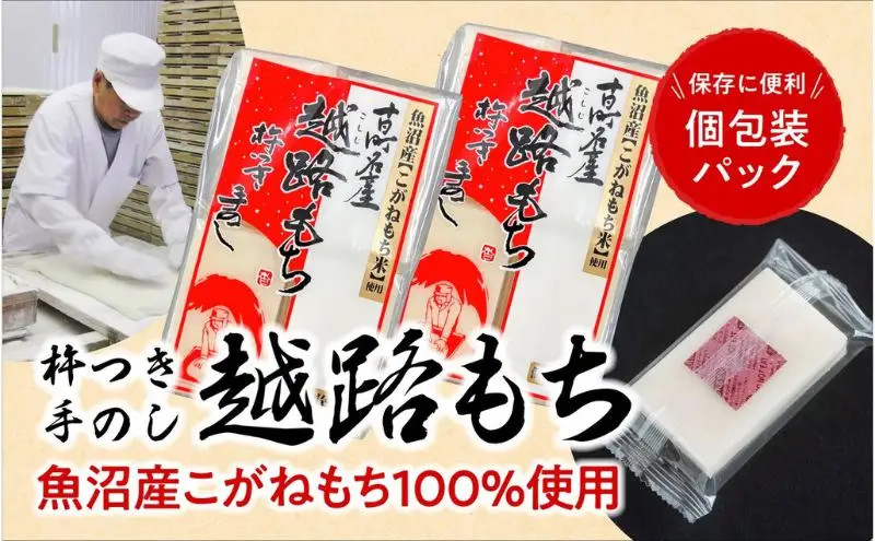 令和7年産 こがねもち使用 越路もち個包装パック 12枚入り×4パック (約2升） 餅 モチ 切り餅 おもち お餅 新潟