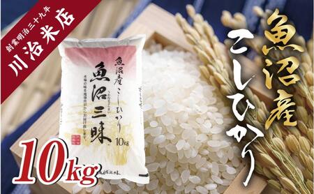 令和7年産 魚沼産 コシヒカリ 10kg 米 こしひかり お米 コメ 新潟 魚沼 魚沼産 白米 送料無料 新潟県産 精米 産直 産地直送 契約農家 お取り寄せ 魚沼三昧 川治米店 新潟県 十日町市 もちもち 甘み 