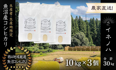 【令和7年産】 魚沼産コシヒカリ 「イネノハ 」精米(10kg×3) お米 白米 ご飯 産地直送 ミネラル 栄養分 こだわり 人気 新鮮 