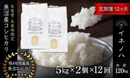 ＜定期便・全12回＞【令和7年産】魚沼産コシヒカリ「イネノハ 」精米(5kg×2)×12回 お米 白米 ご飯 産地直送 ミネラル 栄養分 こだわり 人気 新鮮 