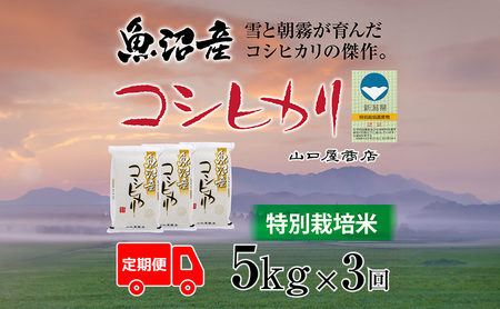定期便 全3回 特別栽培米 魚沼産コシヒカリ 5kg お米 コメ 