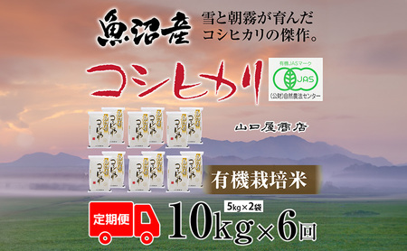 定期便 全6回 有機栽培米 魚沼産コシヒカリ 5kg×2袋 お米 コメ 