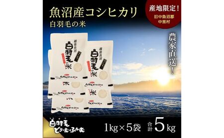 【通年受付】≪令和8年産≫ 農家直送！魚沼産コシヒカリ「白羽毛の米」精米 (1kg×5袋) 5kg お米 白米 ご飯