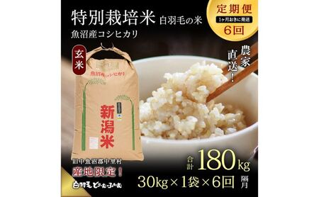 【通年受付】≪令和8年産≫【定期便／1ヶ月おき全6回】農家直送！魚沼産コシヒカリ特別栽培「白羽毛の米」玄米(30kg×1袋)×6回 計180kg お米 白米