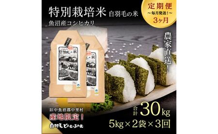 【通年受付】≪令和8年産≫【定期便／全3回】農家直送！魚沼産コシヒカリ特別栽培「白羽毛の米」精米10kg(5kg×2袋)×3回 計30kg お米