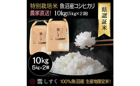 令和8年産！県認証特別栽培魚沼産コシヒカリ【農家直送！】 5kg×2袋 お米 米 コメ