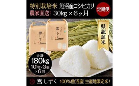 【令和8年産】定期便！農家直送！県認証特別栽培魚沼産コシヒカリ【合計180kg】毎月30kg×6回 精米 ご飯 ブランド米 銘柄米