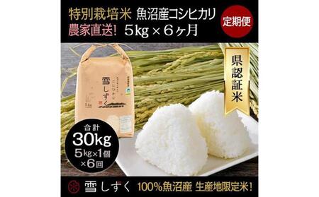 【令和8年産】定期便！農家直送！県認証特別栽培魚沼産コシヒカリ【合計30kg】毎月5kg×6回 精米 ご飯 ブランド米 銘柄米