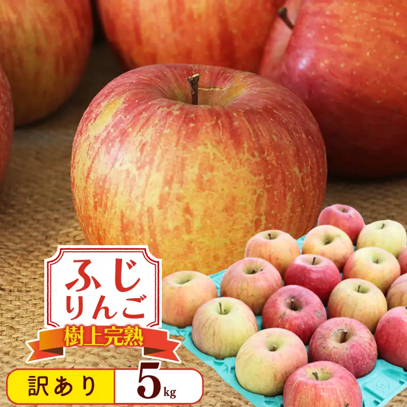 令和8年産 訳あり りんご 5kg  「ふじりんご」生産者直送 2026年産 山形県産 【2026年11月下旬頃から12月下旬頃発送予定】　011-B-NG009