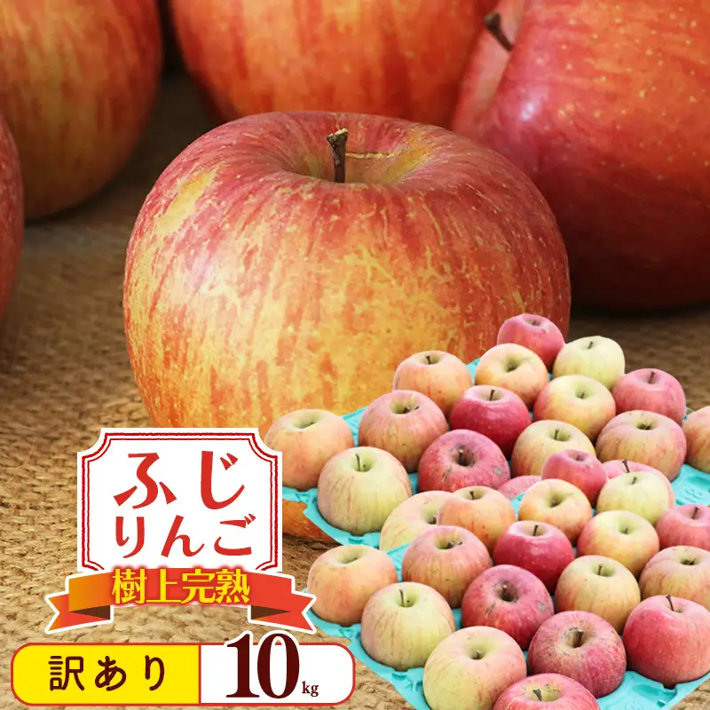 令和8年産 訳あり りんご 10kg  「ふじりんご」生産者直送 2026年産 山形県産 【2026年11月下旬頃から12月下旬頃発送予定】　020-B-NG010