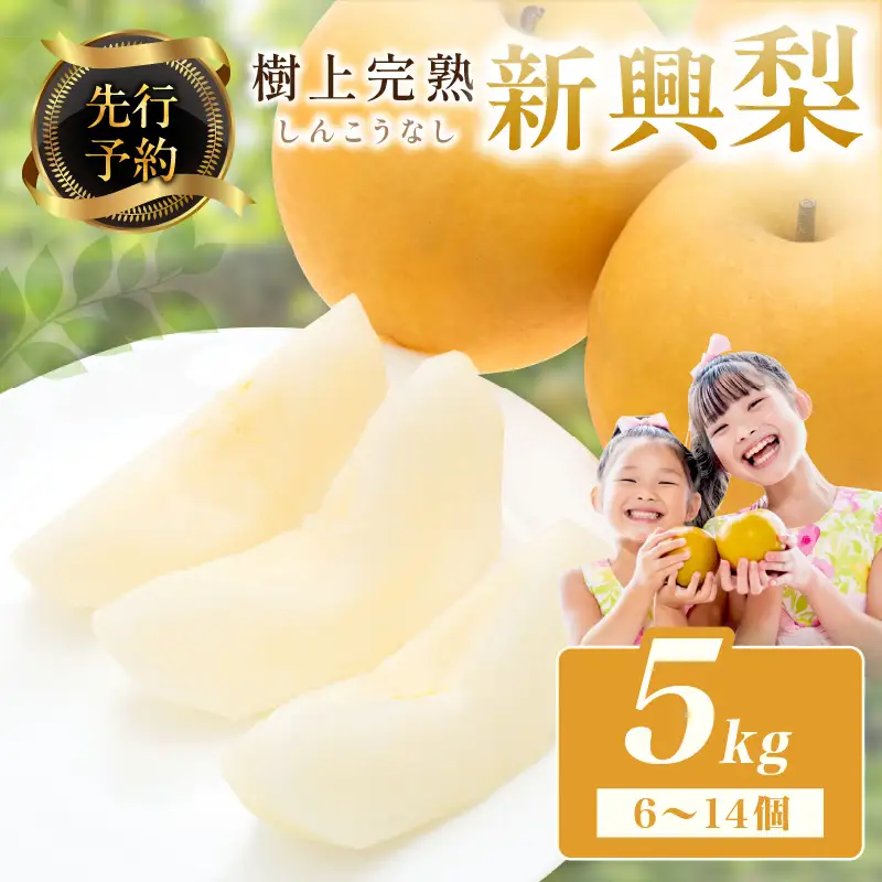 【先行予約】樹上完熟 新興梨 5kg｜2026年10月下旬～発送 梨