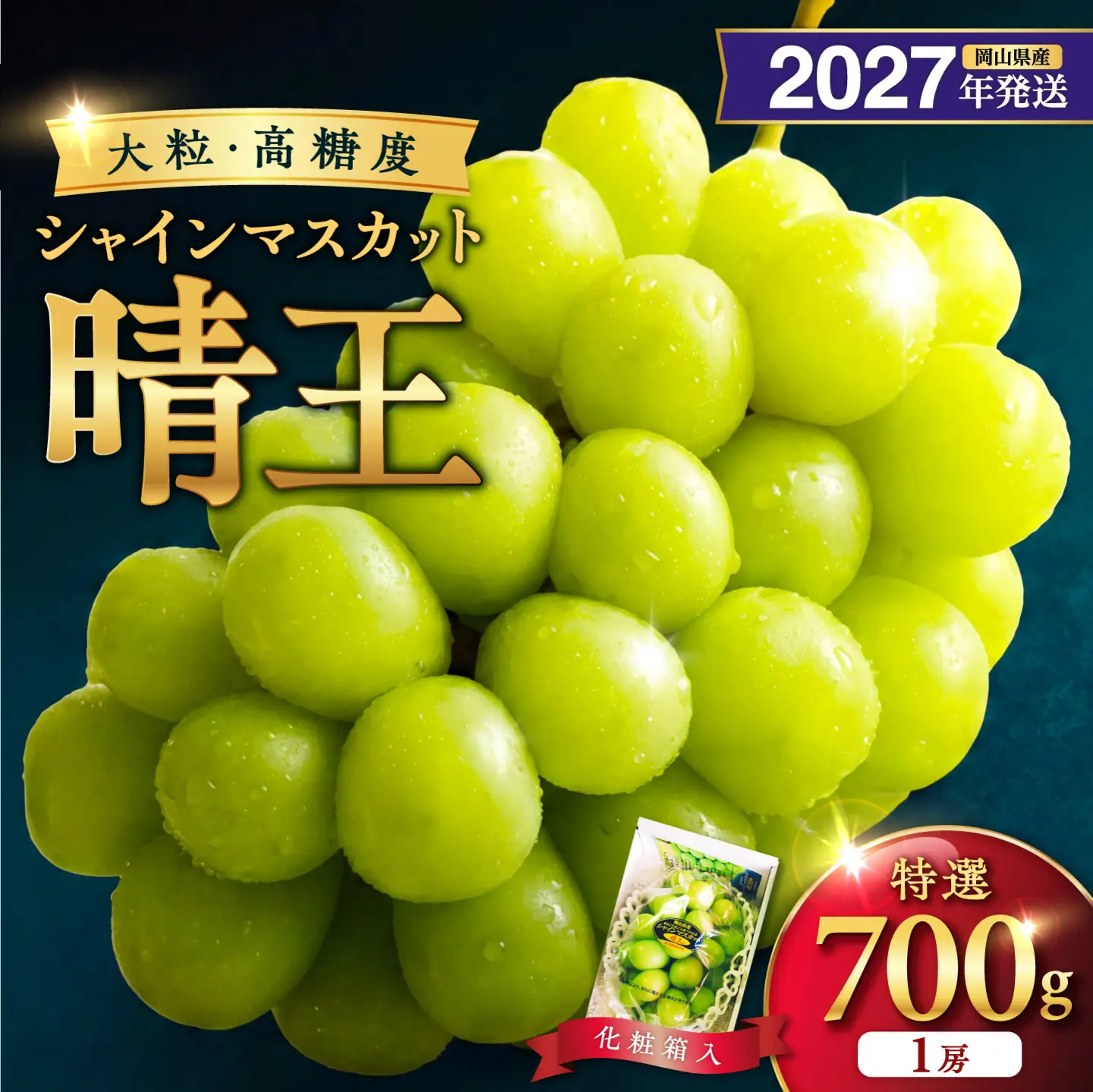 2027年発送 岡山県産シャインマスカット 晴王 特選 大房 化粧箱入 1房 約700g【シャインマスカット】