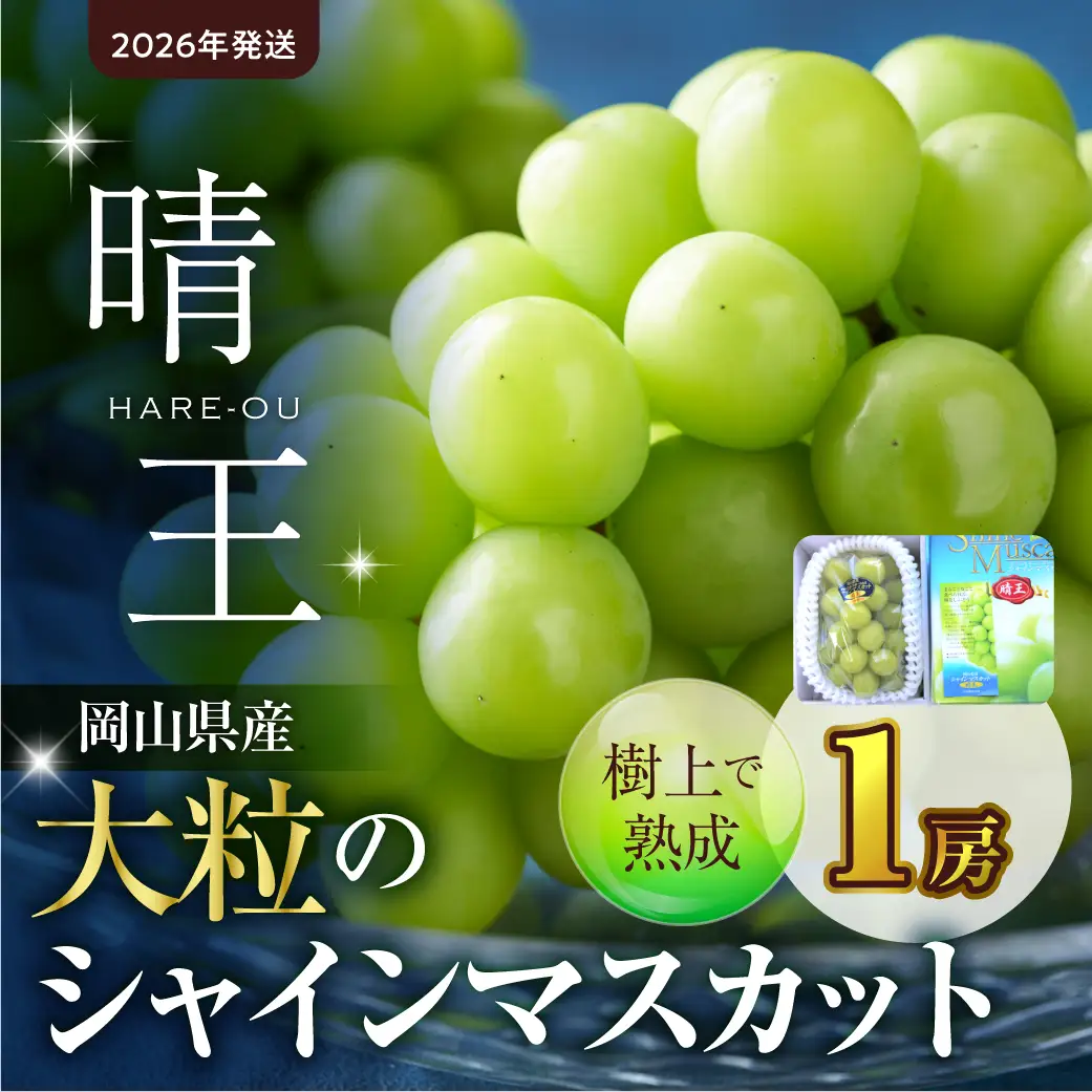 【2026年発送】大粒 シャイン マスカット 晴王 1房（9月中旬～10月上旬頃発送）【 晴王 シャインマスカット 】