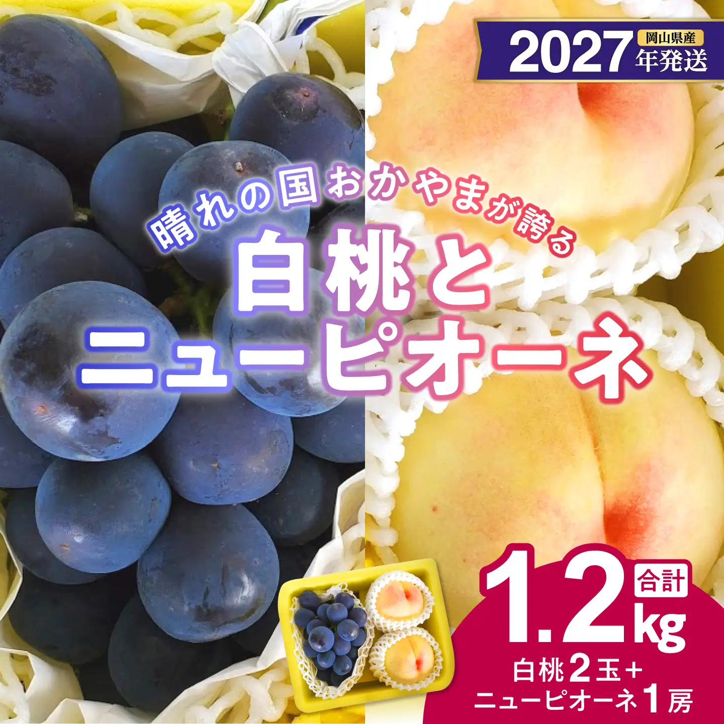 【2027年発送分・先行予約開始！】岡山県産 白桃とニューピオーネのセット（令和9年7月以降発送）【ニューピオーネ 桃】