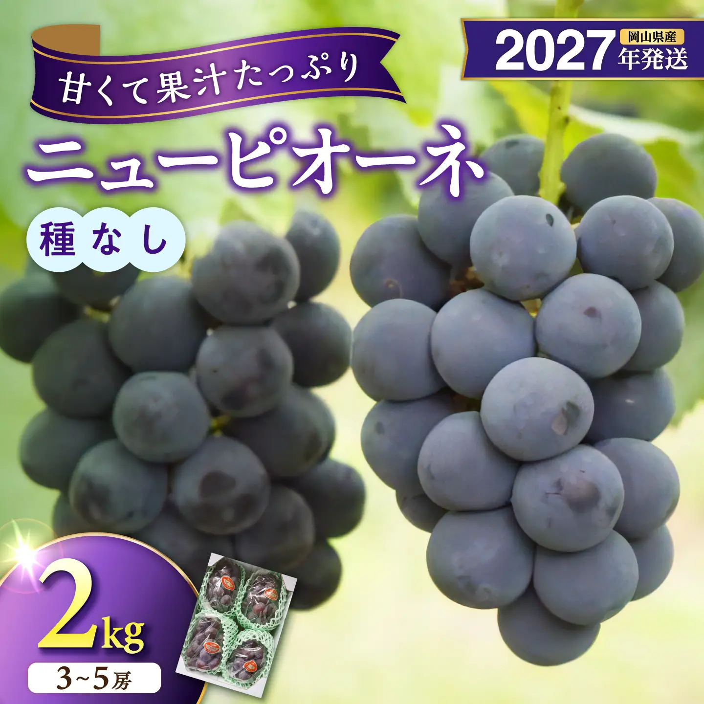 【2027年発送分・先行予約開始！】岡山県産ニューピオーネ 　秀品　約2kg（3～5房程度）（令和9年8月中旬以降発送）【ニューピオーネ】