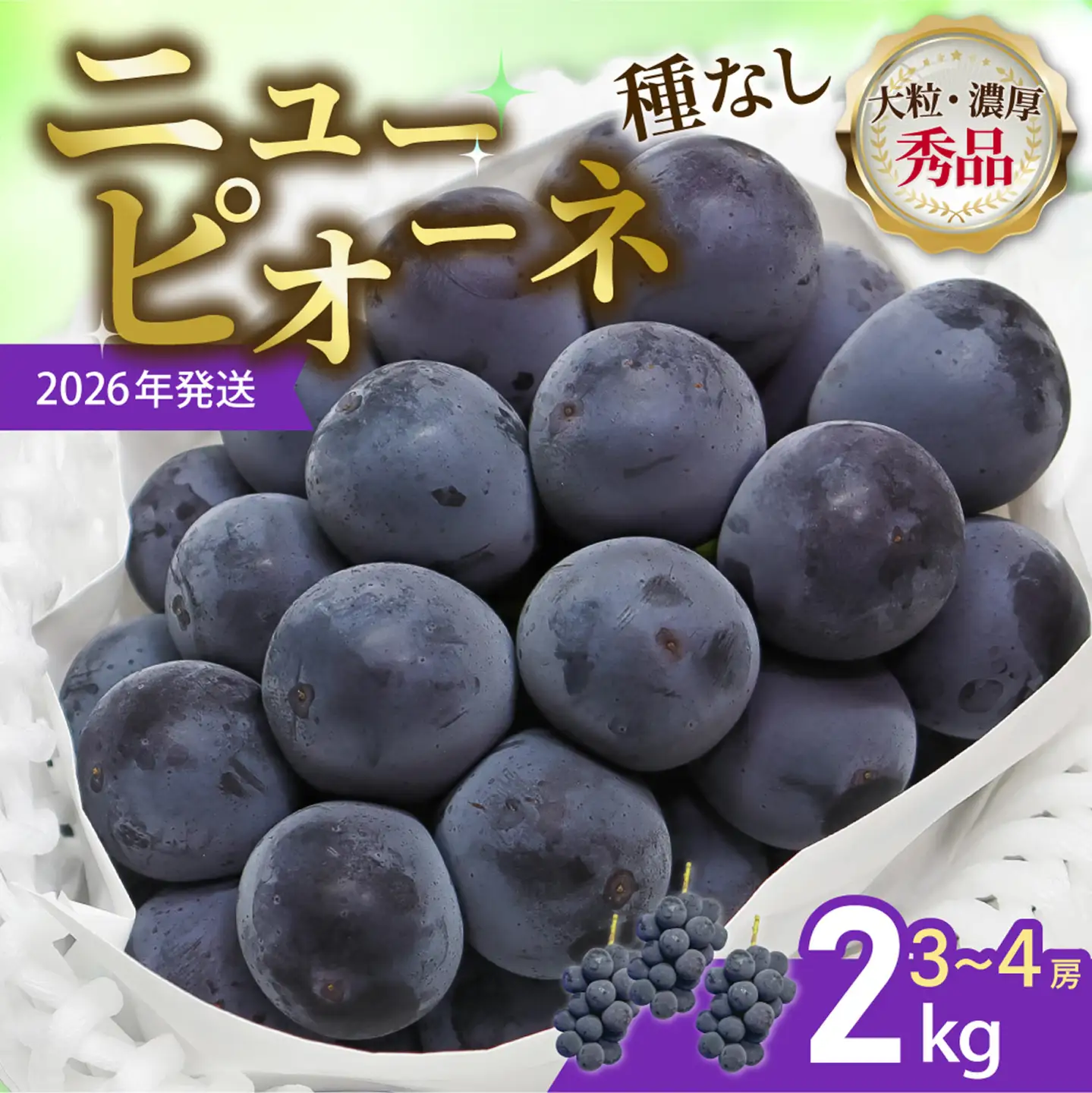 【令和８年発送分】岡山県産 ニューピオーネ 2kg（令和8年8月から9月頃発送）【ニューピオーネ】