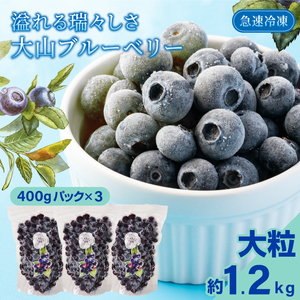 MS-30　冷凍ブルーベリー1.2kg